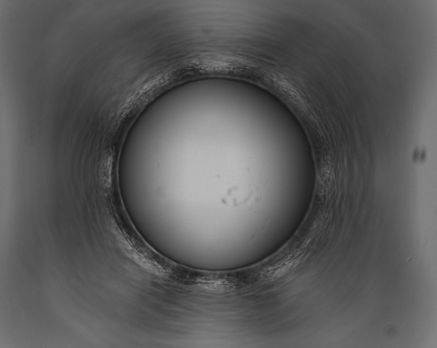 X0000088860454200706291521