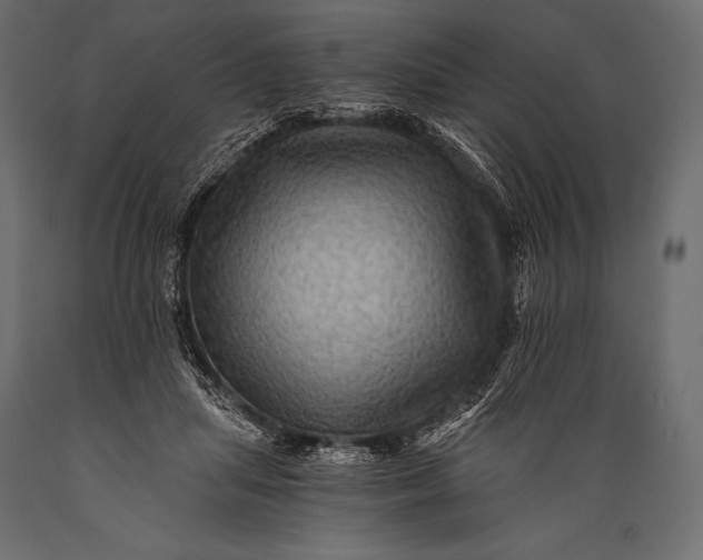 X0000088860455200706291521