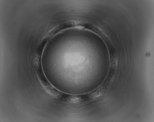 X0000088860456200706291521