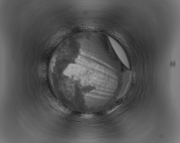 X0000088860457200706291521