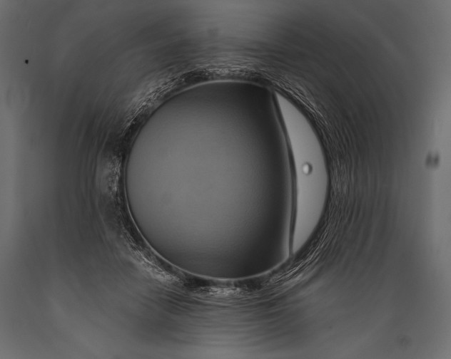 X0000088860458200706291521