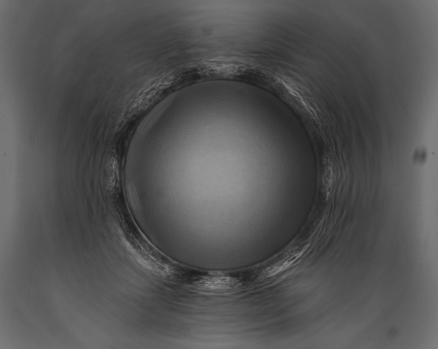 X0000088860459200706291521