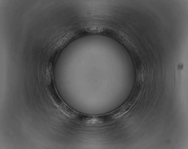 X0000088860460200706291521