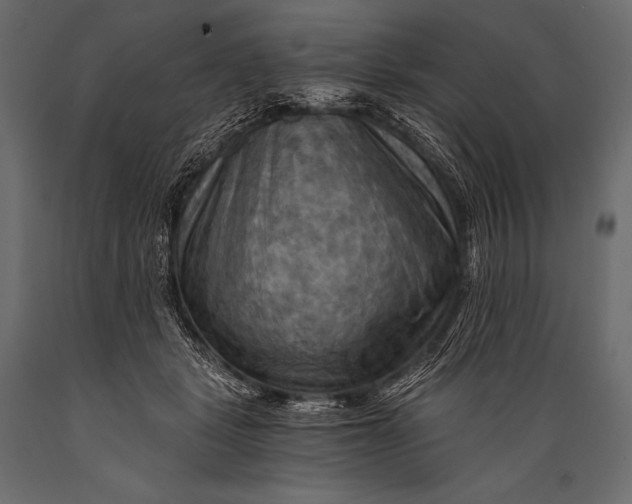 X0000088860461200706291521