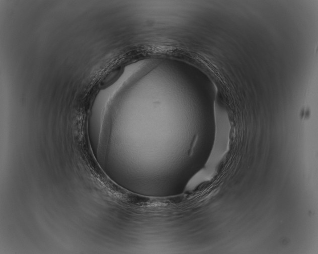 X0000088860462200706291521