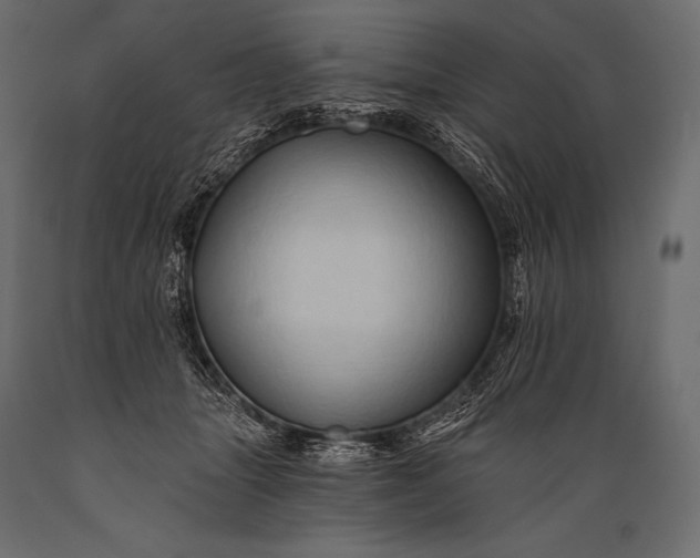 X0000088860463200706291521