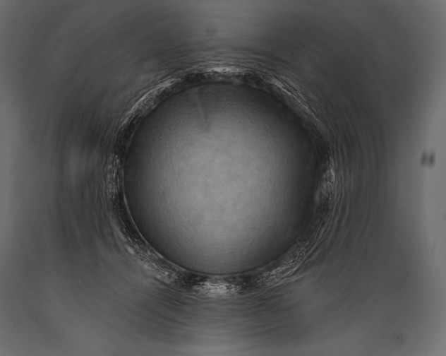 X0000088860464200706291521