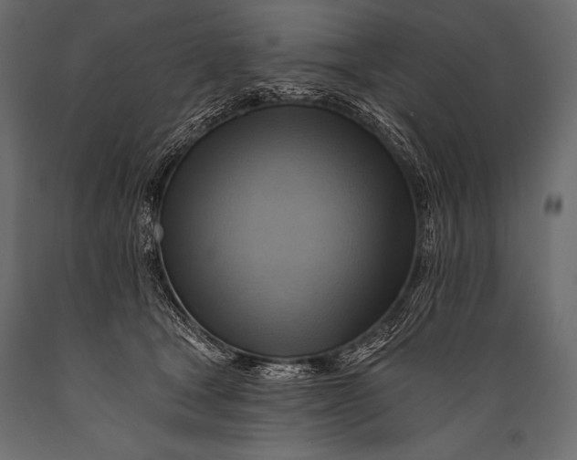 X0000088860465200706291521