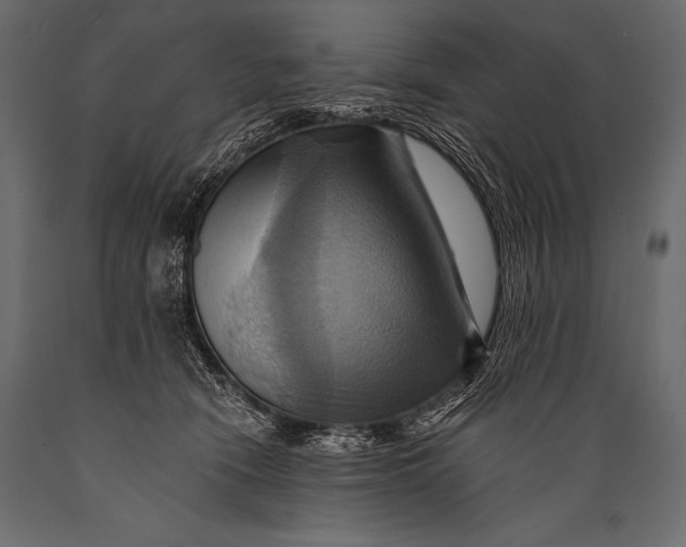 X0000088860466200706291522