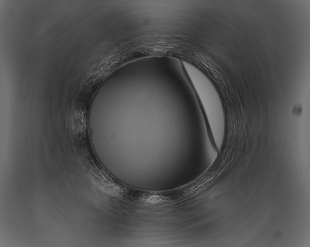 X0000088860467200706291522