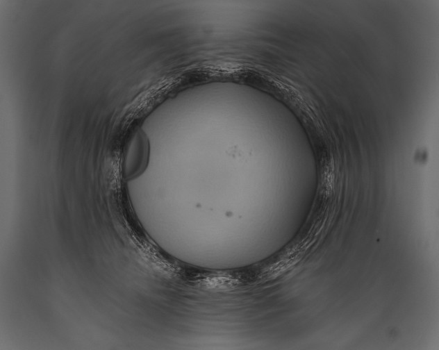 X0000088860468200706291522