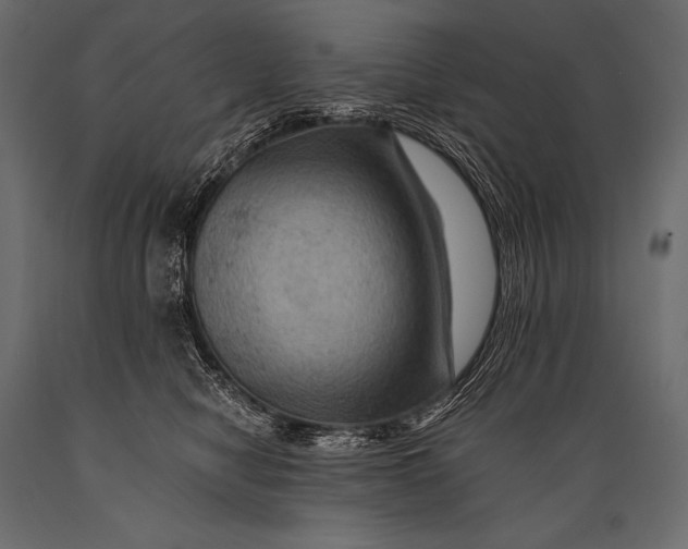 X0000088860470200706291522