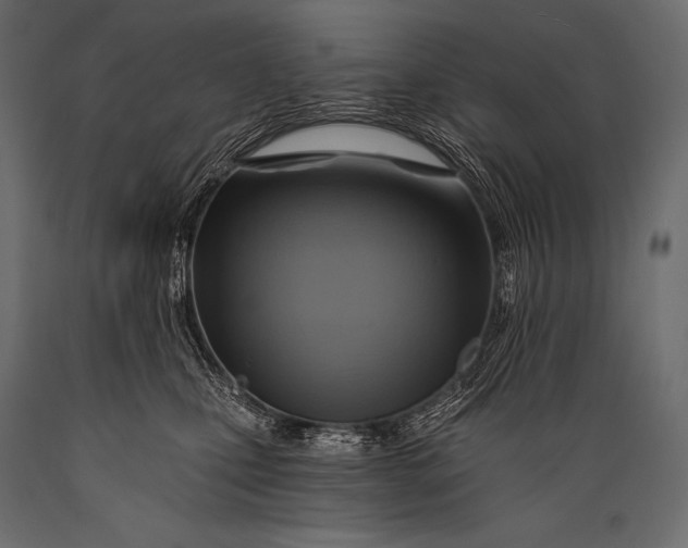 X0000088860471200706291522