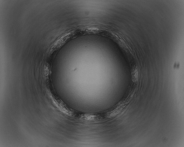 X0000088860472200706291522