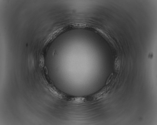 X0000088860474200706291522