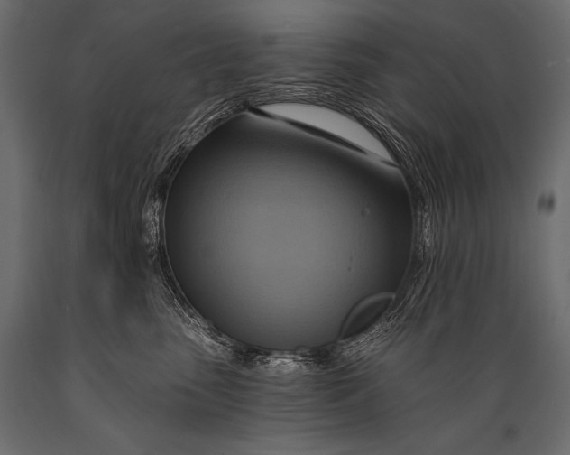 X0000088860475200706291522