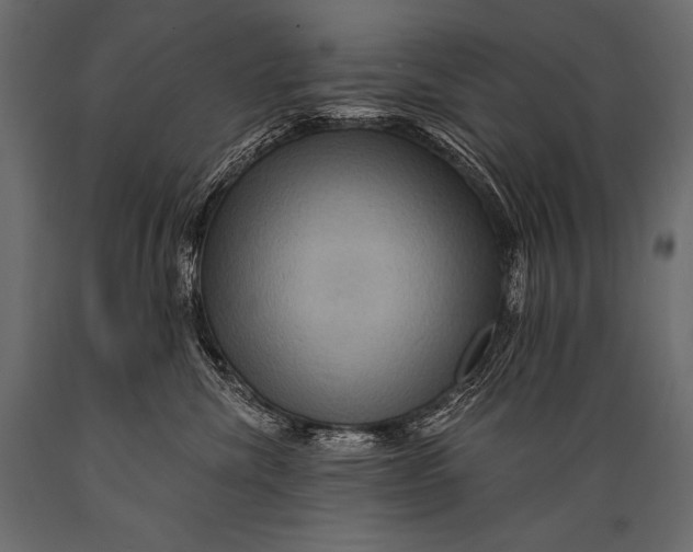 X0000088860476200706291522