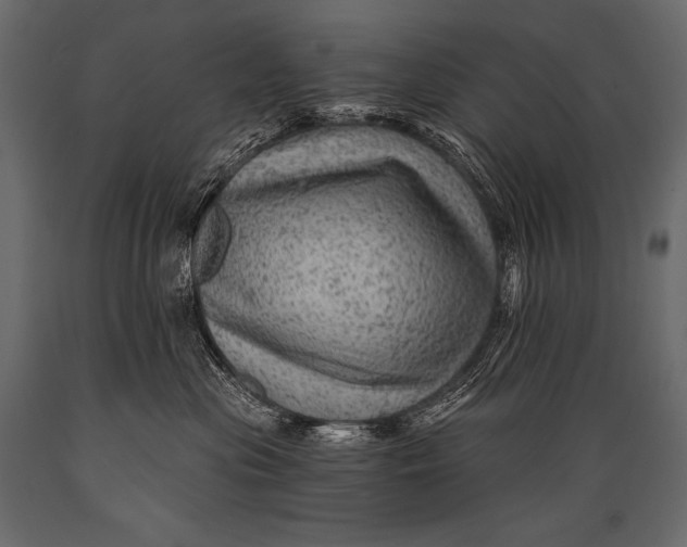 X0000088860477200706291522