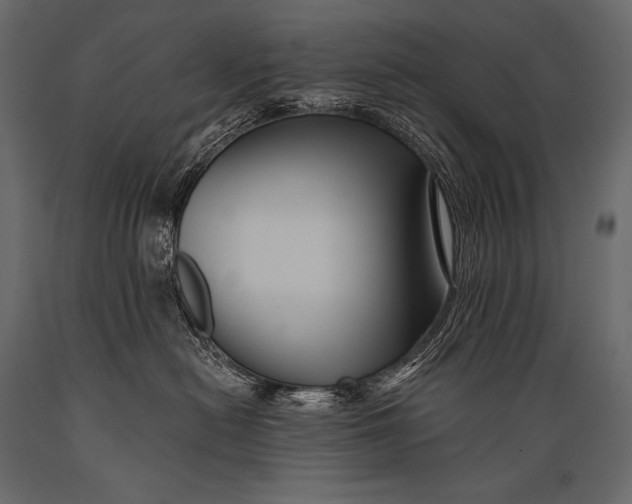 X0000088860478200706291522