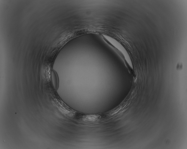 X0000088860479200706291522