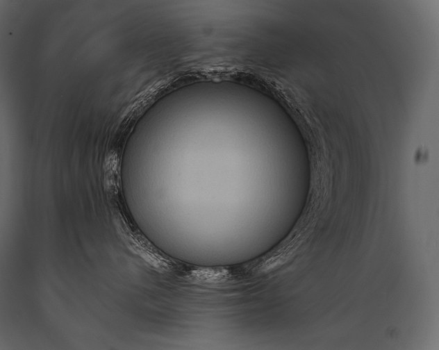 X0000088860480200706291522