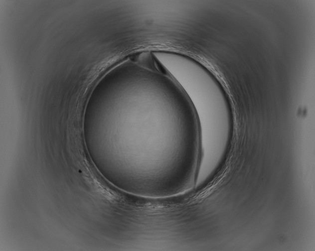 X0000088860481200706291521