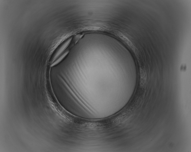 X0000088860482200706291521