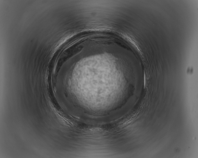 X0000088860483200706291521