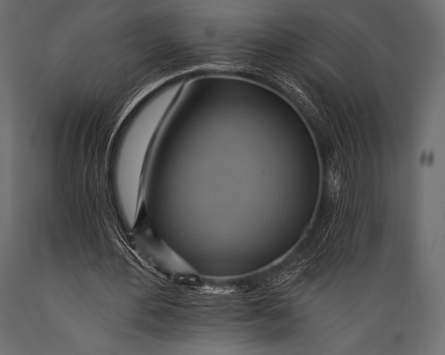 X0000088860484200706291521