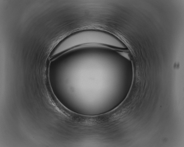 X0000088860485200706291521