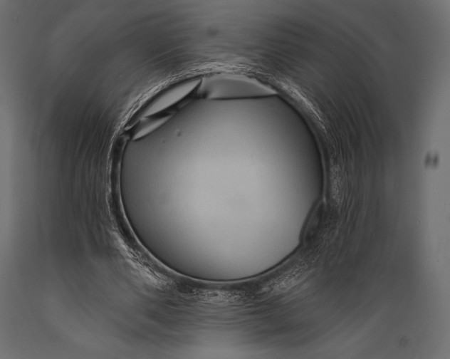 X0000088860486200706291521