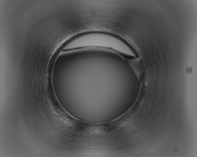 X0000088860488200706291521