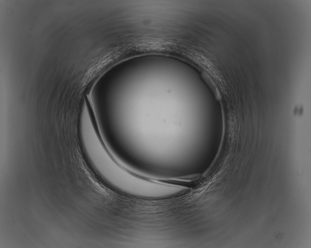 X0000088860489200706291521