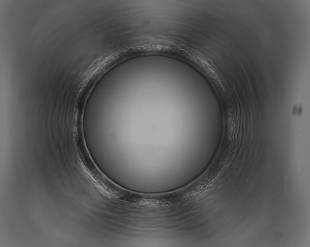 X0000088860490200706291521