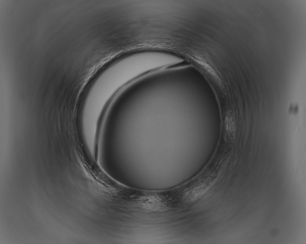 X0000088860492200706291521