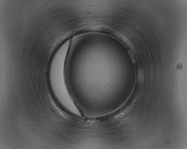 X0000088860493200706291521