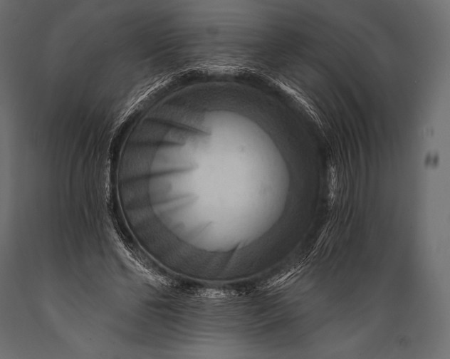 X0000088860494200706291521