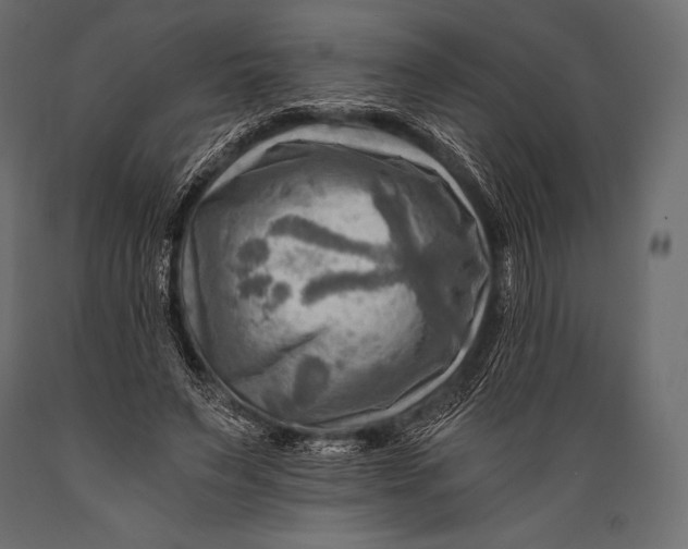 X0000088860495200706291521