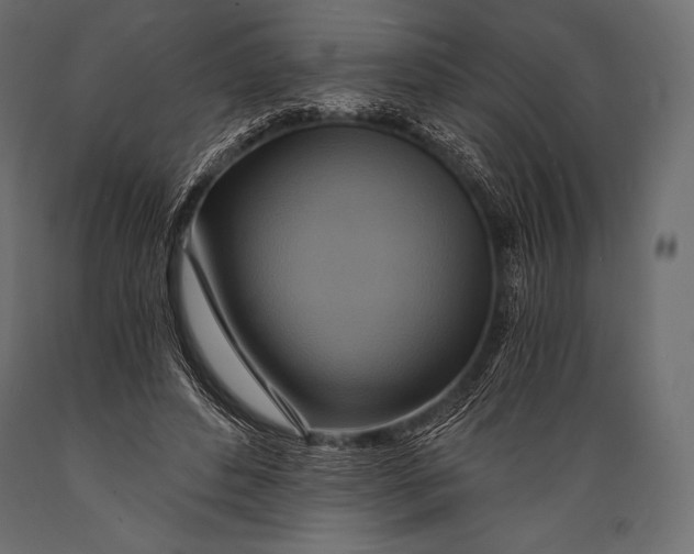 X0000088860496200706291521