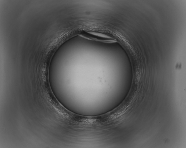 X0000088860497200706291521