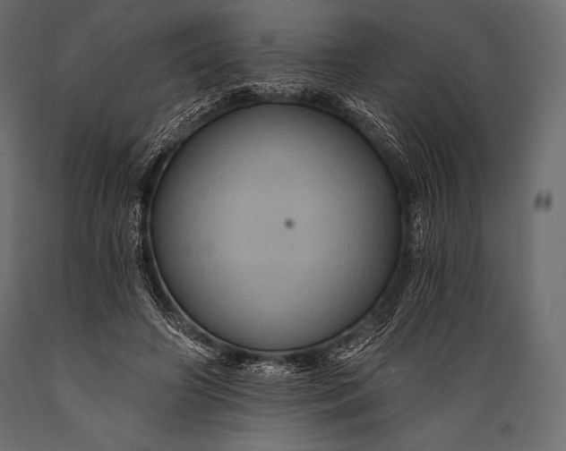 X0000088860498200706291521