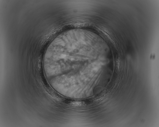 X0000088860499200706291521