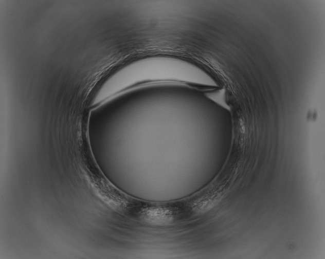 X0000088860500200706291521