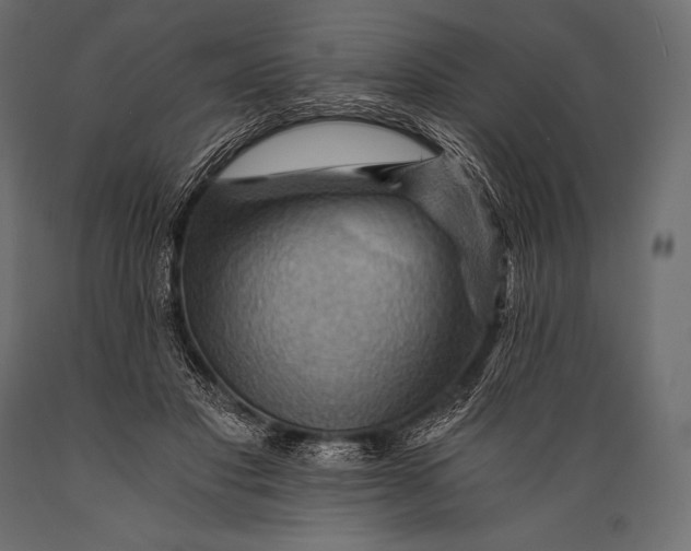 X0000088860501200706291521