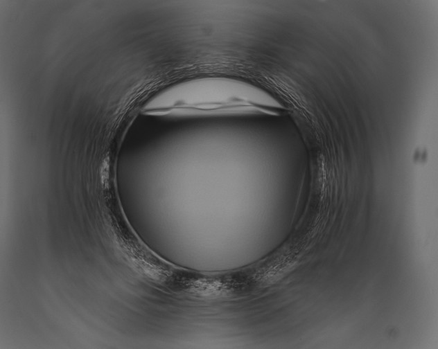 X0000088860502200706291521