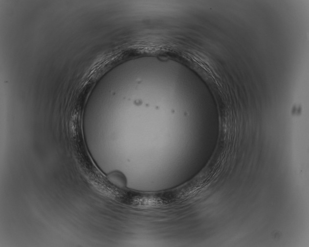 X0000088860503200706291521