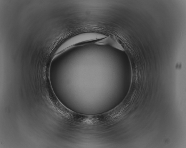 X0000088860504200706291521