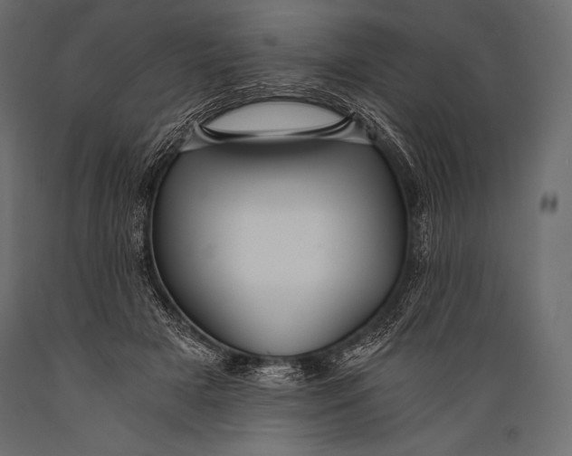 X0000088860505200706291521