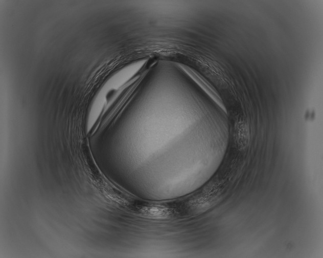 X0000088860506200706291521