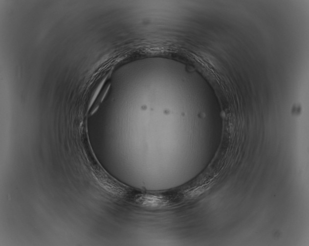 X0000088860507200706291521